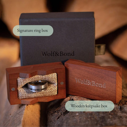 The Eclipse – Silver Smooth Tungsten Ring With Crushed Meteorite Inlay (8mm)