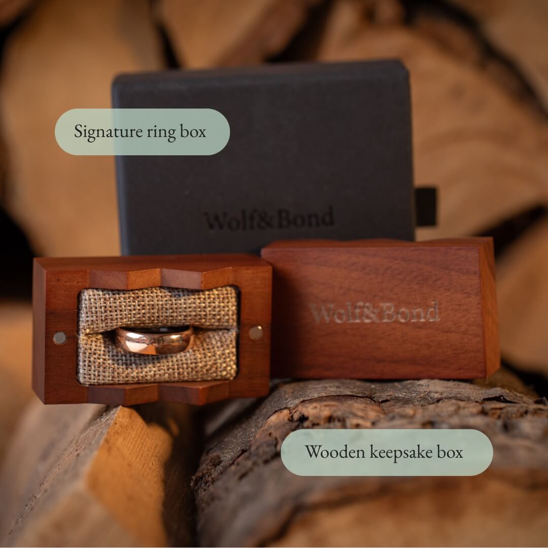 The Meridian - Polished Rose Gold Tungsten Ring (6mm)