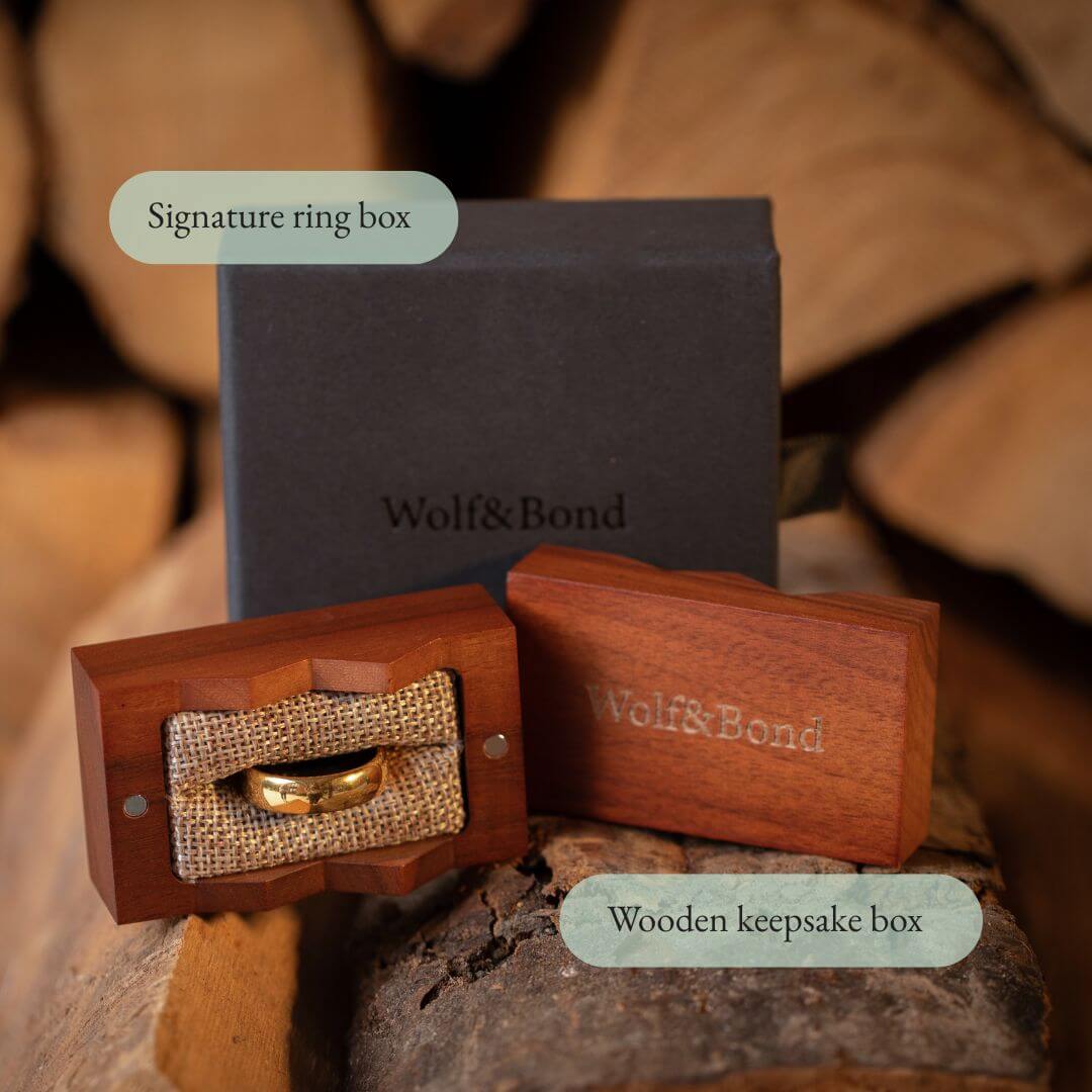 The Meridian - Polished Gold Tungsten Ring (6mm)