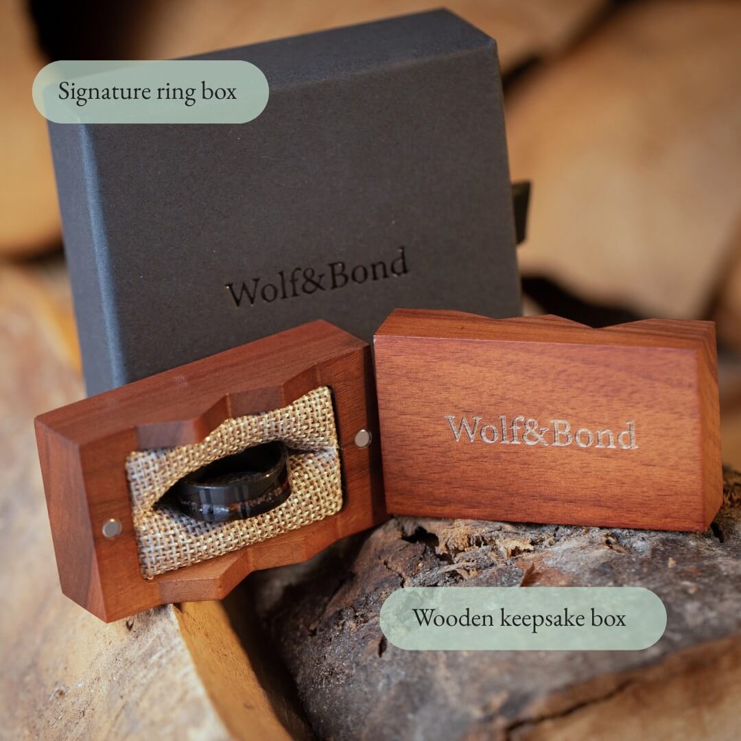 The Origin - Black Damascus Steel Ring With Crushed Meteorite & Dinosaur Bone (8mm)