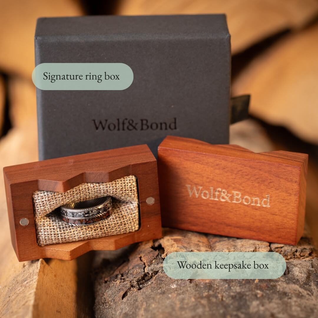 The Vestige - Silver Damascus Steel Ring With Crushed Meteorite & Dinosaur Bone (8mm)